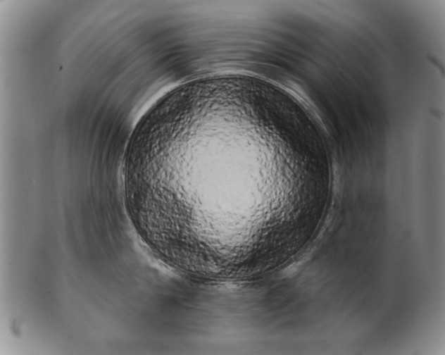 X0000100970814200807081218