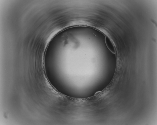 X0000100970815200807081218