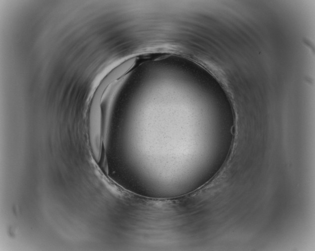 X0000100970816200807081218