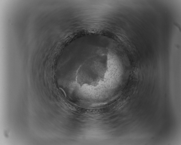 X0000100970817200807081217