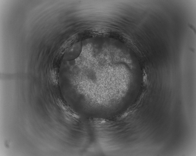 X0000100970819200807081217