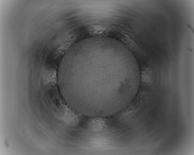 X0000100970820200807081217