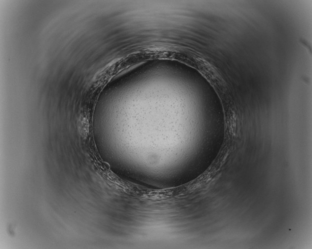 X0000100970821200807081217