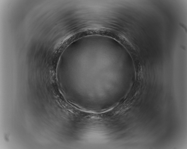 X0000100970822200807081217