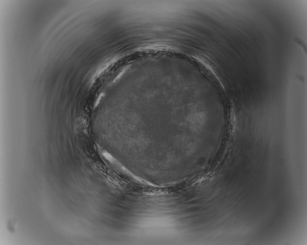 X0000100970823200807081217