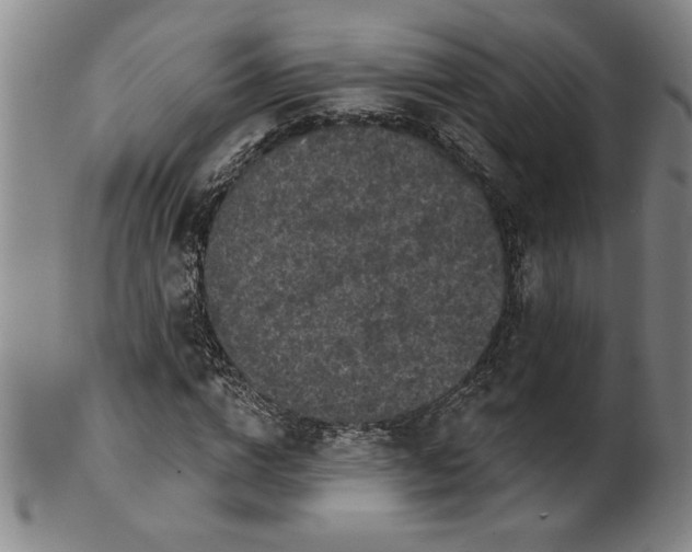 X0000100970824200807081217