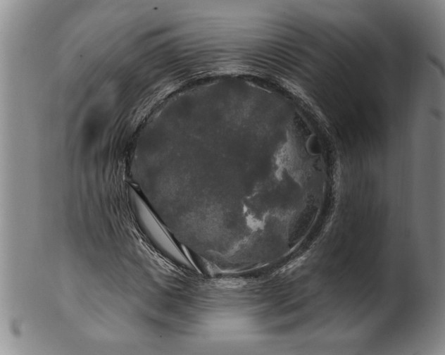 X0000100970825200807081217