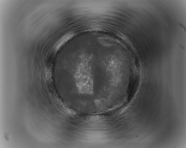 X0000100970826200807081217