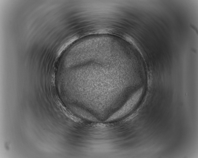 X0000100970827200807081217
