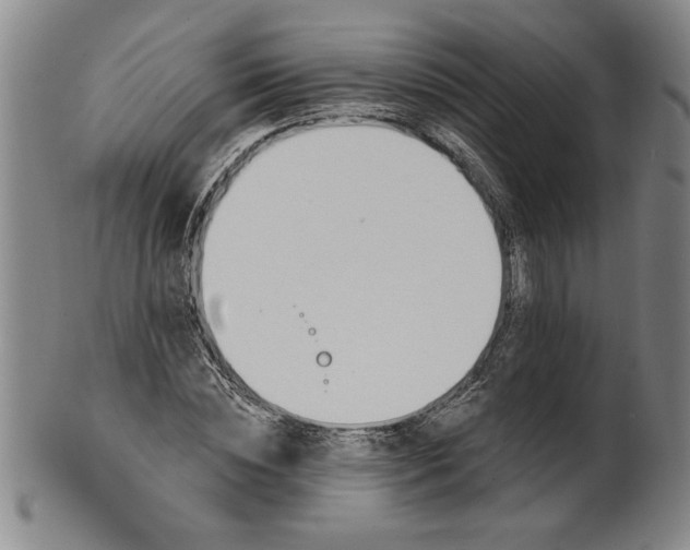 X0000100970828200807081217