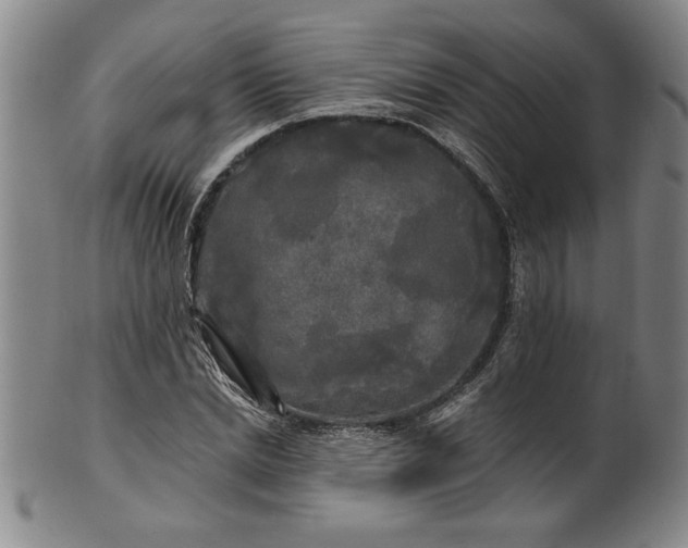 X0000100970830200807081217