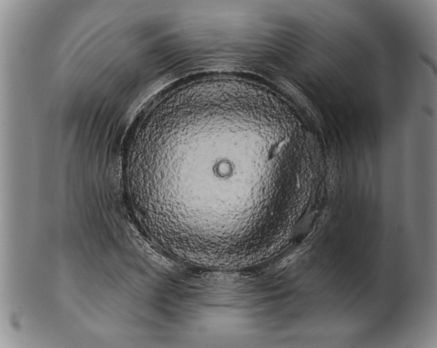 X0000100970831200807081217