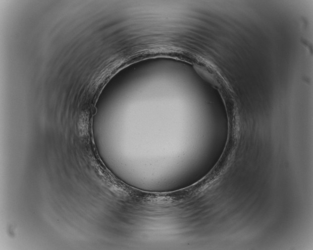 X0000100970833200807081217