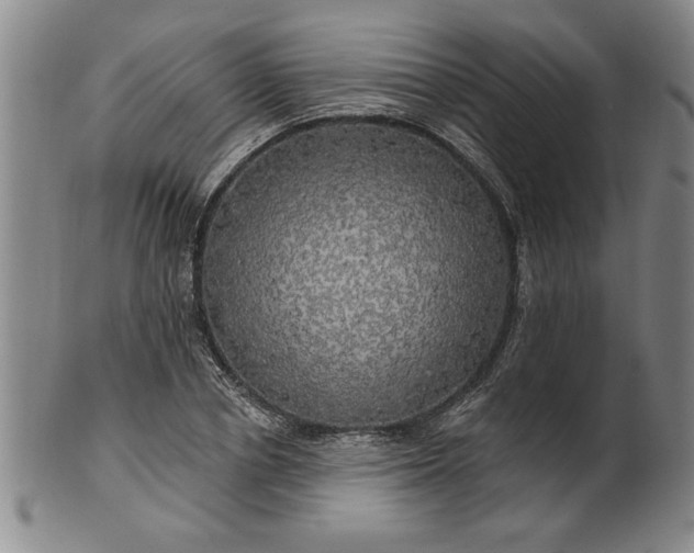 X0000100970834200807081217