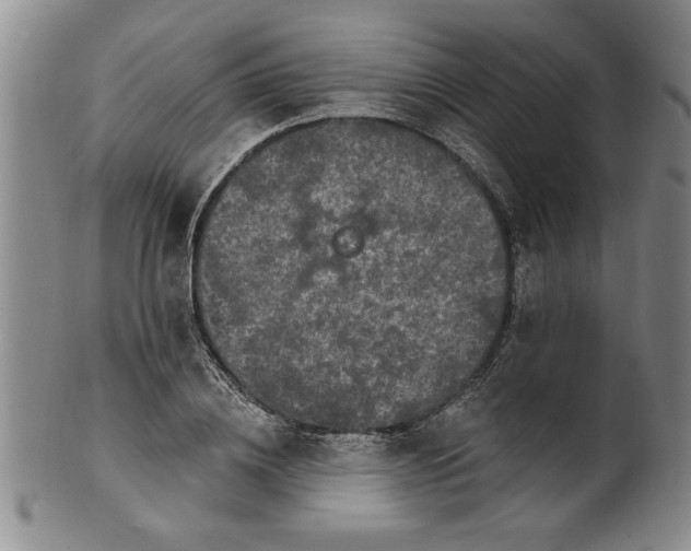X0000100970836200807081217