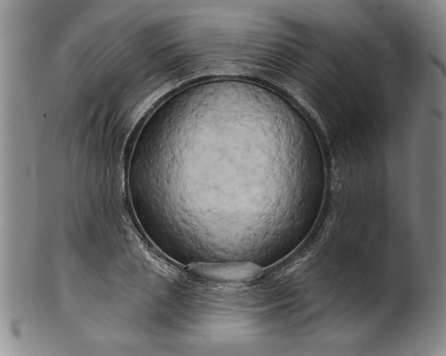 X0000100970837200807081217