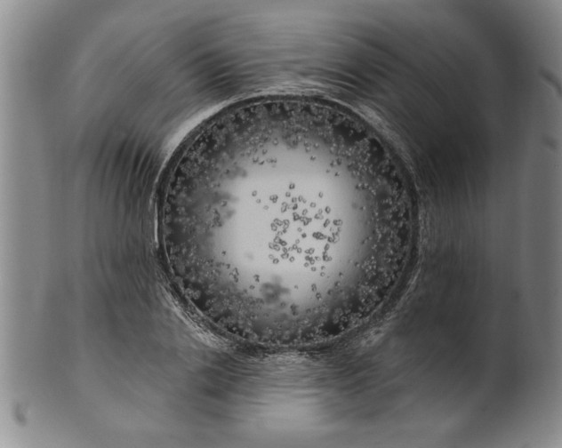 X0000100970838200807081217