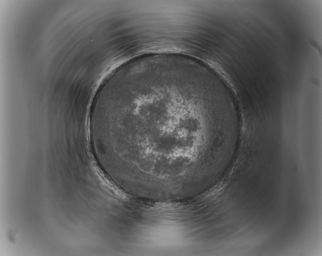 X0000100970840200807081217