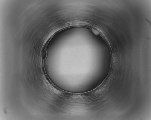 X0000100970843200807081217