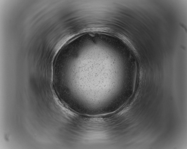 X0000100970844200807081217