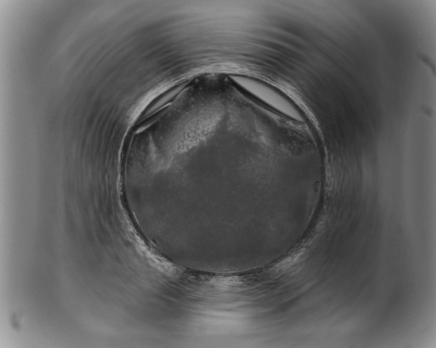 X0000100970845200807081217