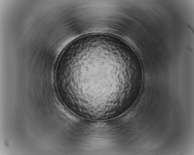 X0000100970846200807081217