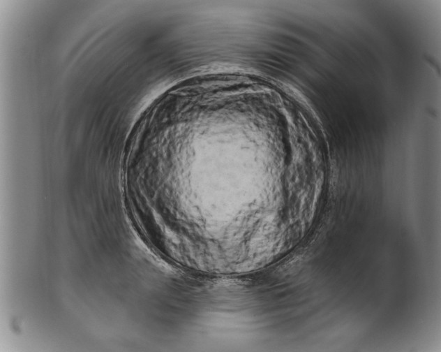 X0000100970847200807081217