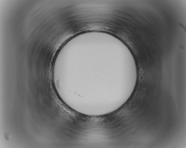 X0000100970848200807081217