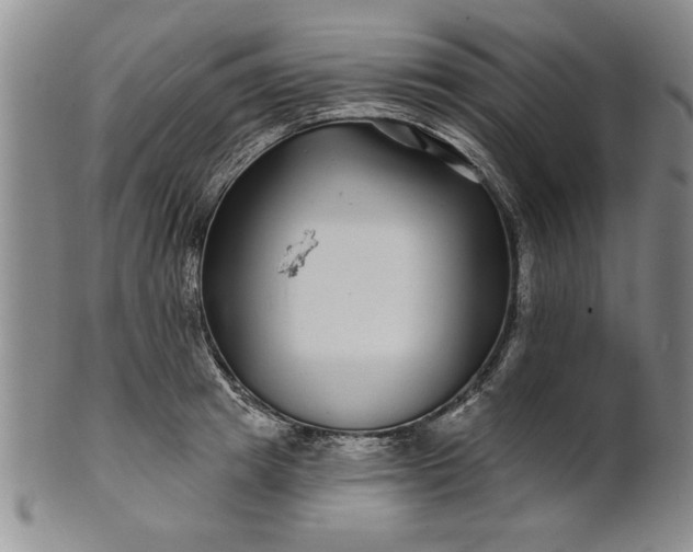 X0000100970849200807081217