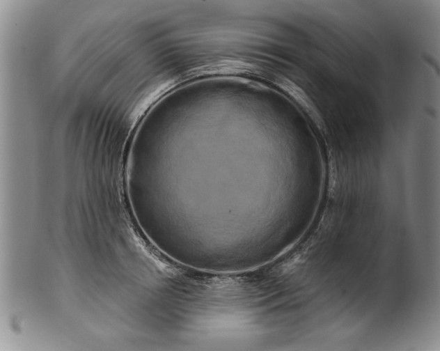 X0000100970850200807081217