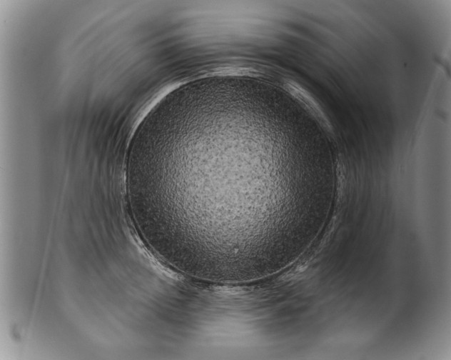 X0000100970852200807081217