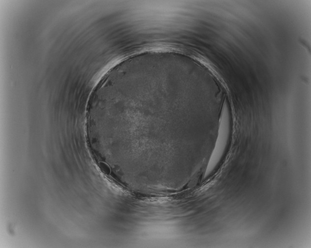 X0000100970853200807081217