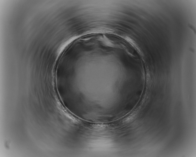 X0000100970854200807081217