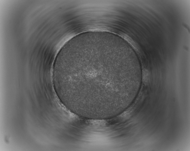 X0000100970856200807081217