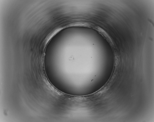 X0000100970860200807081218
