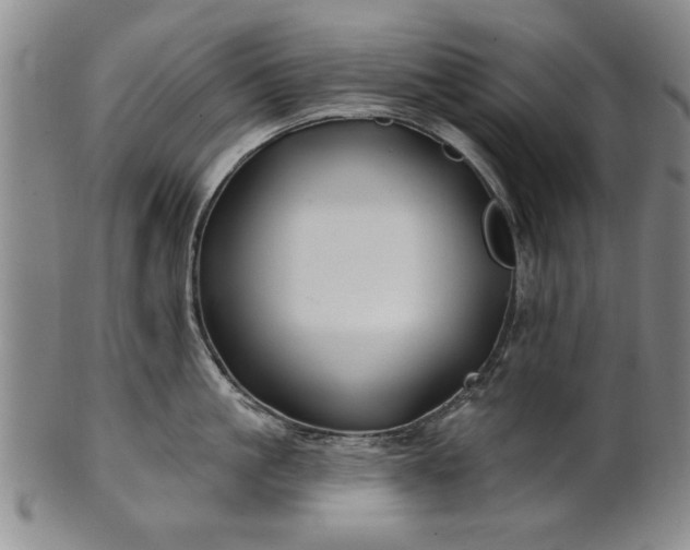 X0000100970861200807081218