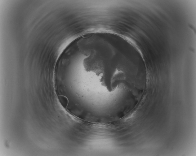 X0000100970863200807081218