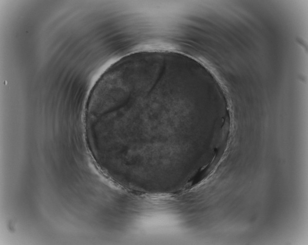 X0000100970864200807081218