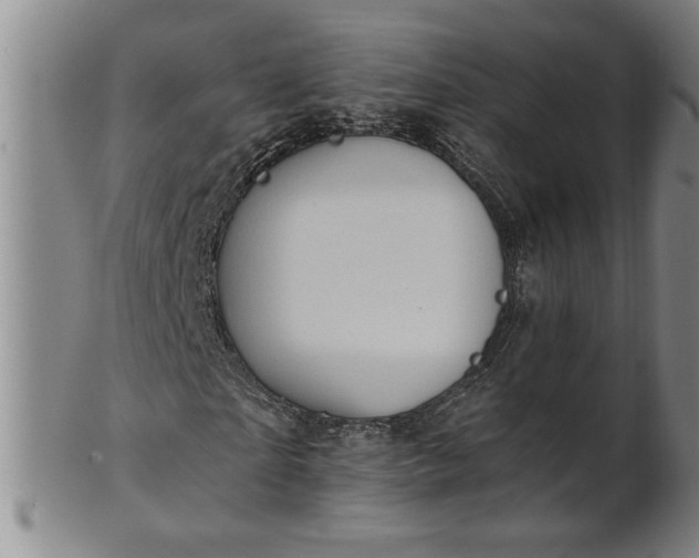X0000100970865200807081217