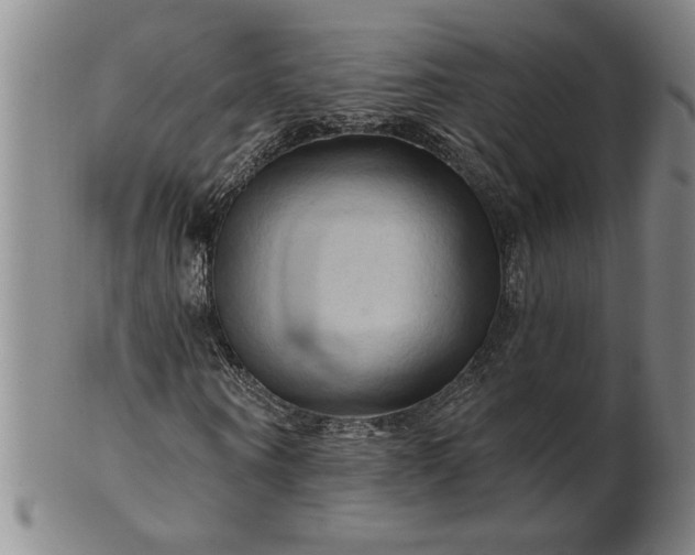X0000100970866200807081217