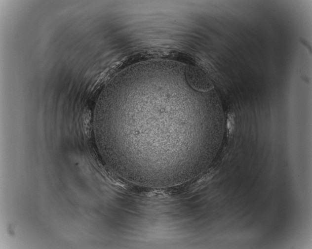 X0000100970867200807081217