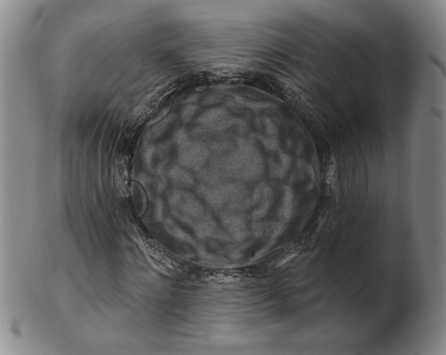X0000100970868200807081217