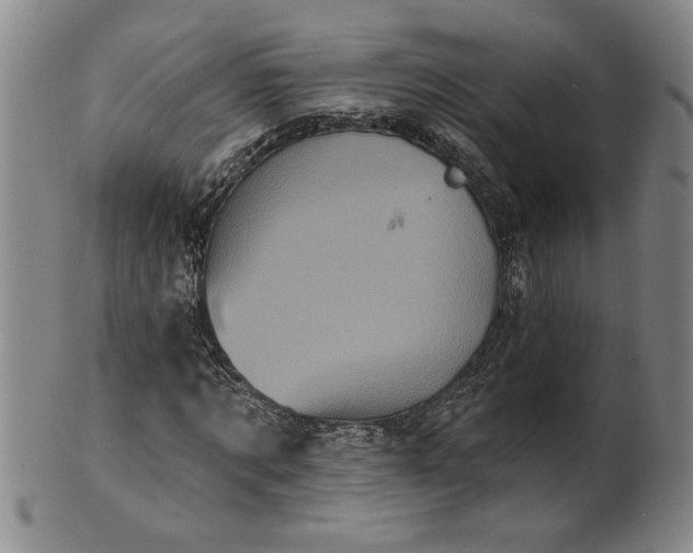 X0000100970869200807081217