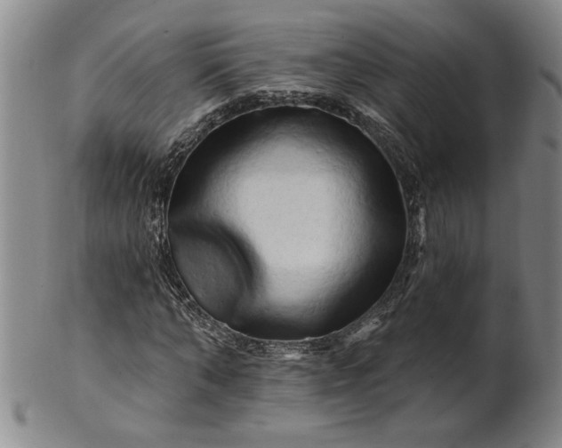 X0000100970870200807081217