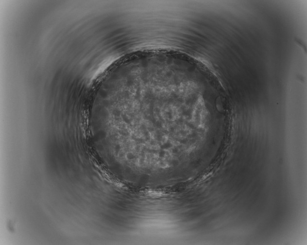 X0000100970871200807081217
