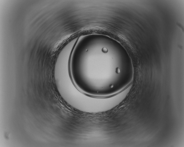 X0000100970872200807081217
