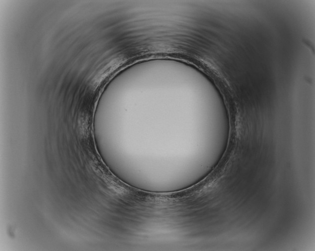 X0000100970873200807081216