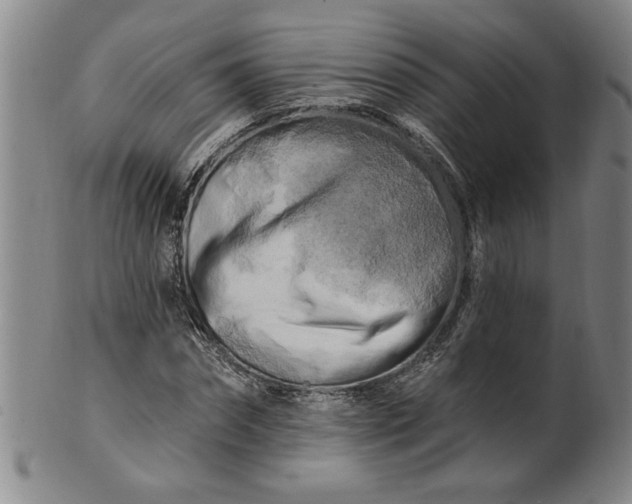 X0000100970874200807081216