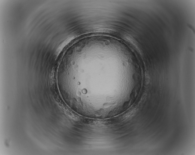 X0000100970875200807081216