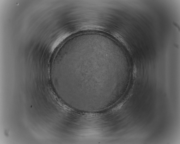 X0000100970877200807081216
